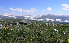 Алтай Алтай