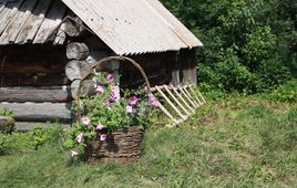 Алтай Алтай