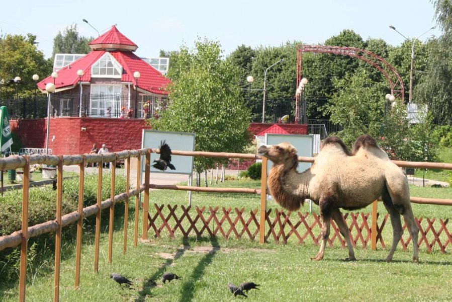 Зоопарк в минске